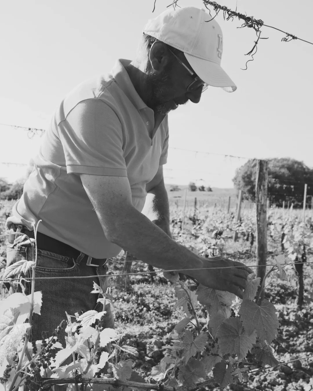 visite-domaine-cahors-domaine-du-peyret-puy-l-eveque-lot visite-domaine-cahors-domaine-du-peyret-puy-l-eveque-lot