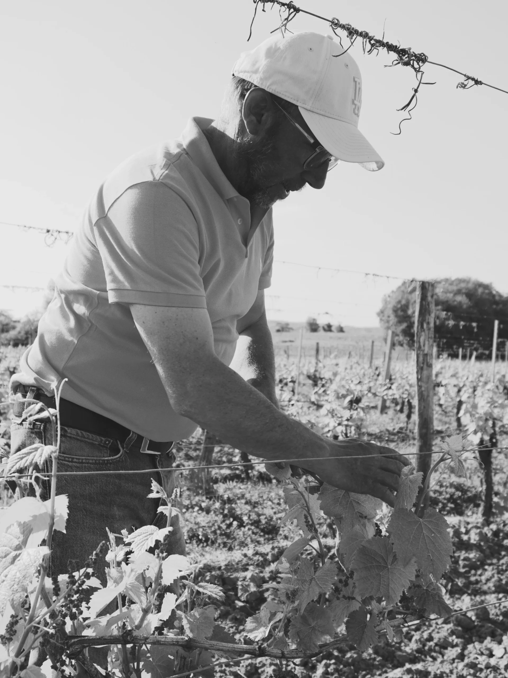 visite-domaine-cahors-domaine-du-peyret-puy-l-eveque-lot